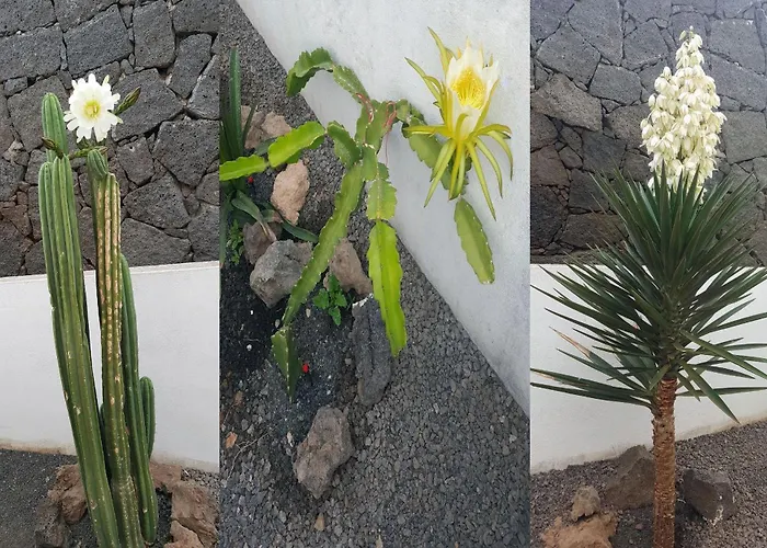 2 Bedrooms - Quiet Location - Pool - Adults Only Appartement Tías