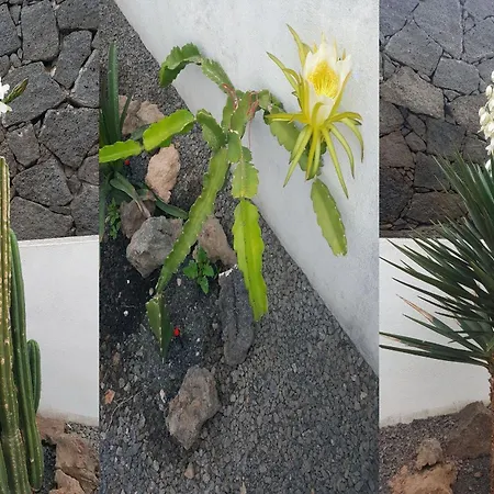 2 Bedrooms - Quiet Location - Pool - Adults Only Appartamento Tías